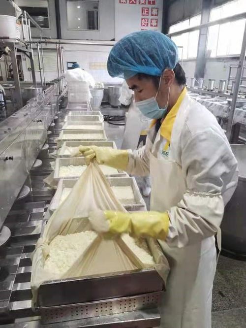 誠信經(jīng)營 安陽可旺食品打造放心豆腐品牌之路